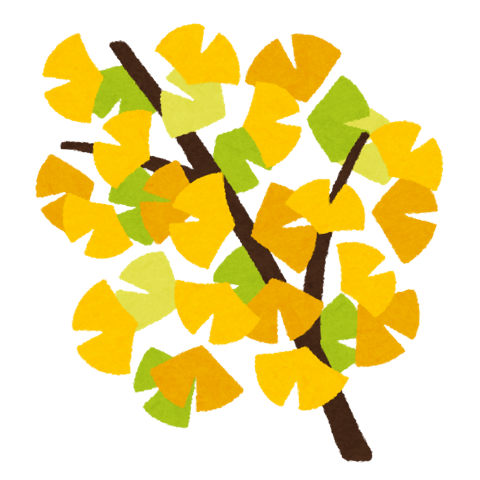 イチョウの枝のイラスト